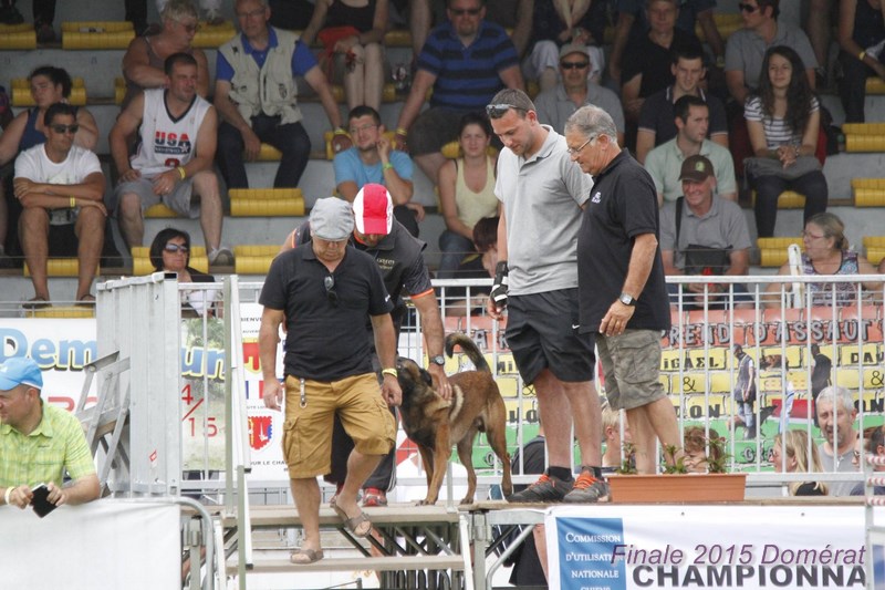2015 domerat podium1.jpg